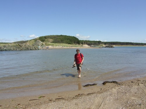 D_still_wading_to_island