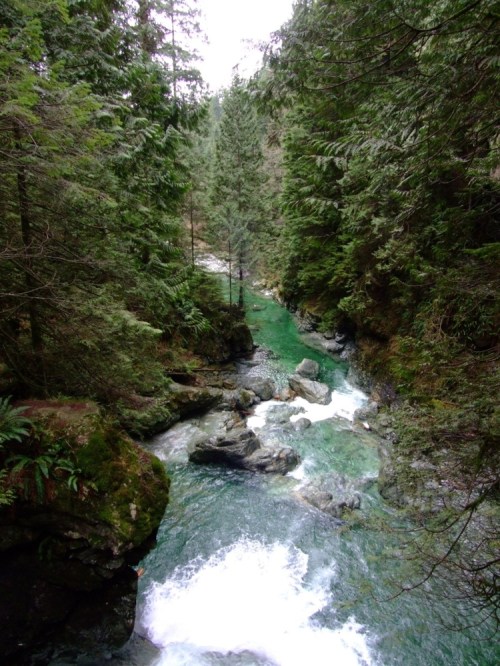 Looking_downstream_of_twin_fal