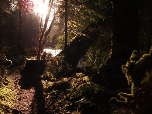 Qualicum_river_resize